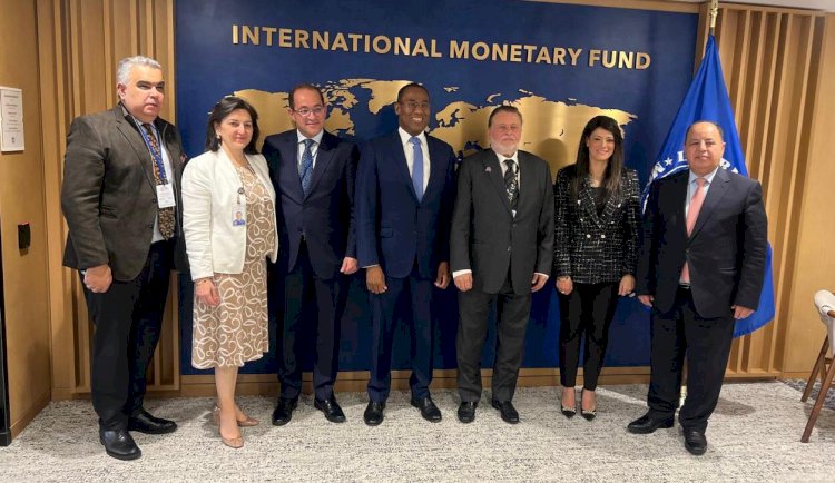 محافظ البنك المركزي المصري يلتقي نائب المدير العام لصندوق النقد الدولي