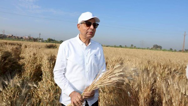 المنيا تواجه مافيا الأسمدة المدعمة بحذف 4500 فدان للوصول لصغار المزارعين