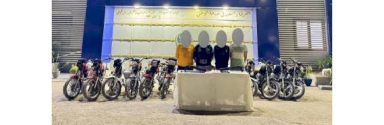 ضبط تشكيلات سرقة المساكن والدراجات بالوادي الجديد والدقهلية