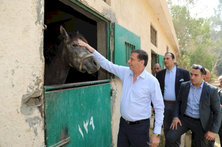 وزير الزراعة ومحافظ القاهرة يتفقدان محطة الزهراء للخيول العربية الأصيلة