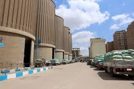 شون وصوامع المنيا تستقبل 266 ألف طن من القمح ضمن موسم توريد 2025