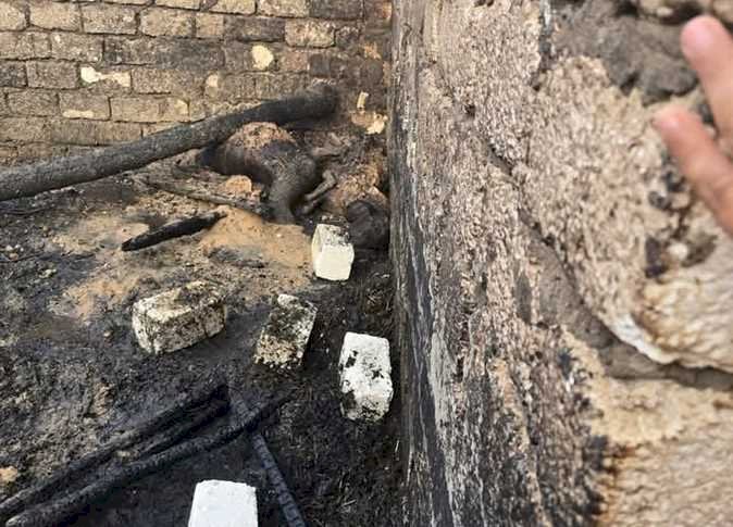 نفوق «2000 فرخ.. إخماد حريق بحظيرة دواجن في المنيا