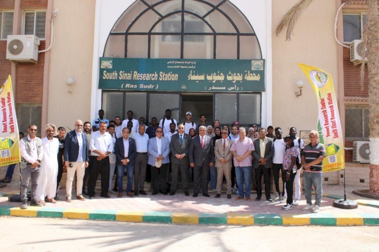 بحوث الصحراء ينظم ورشة تدريبية للشباب الافريقي   في مجال مكافحة التصحر والجفاف