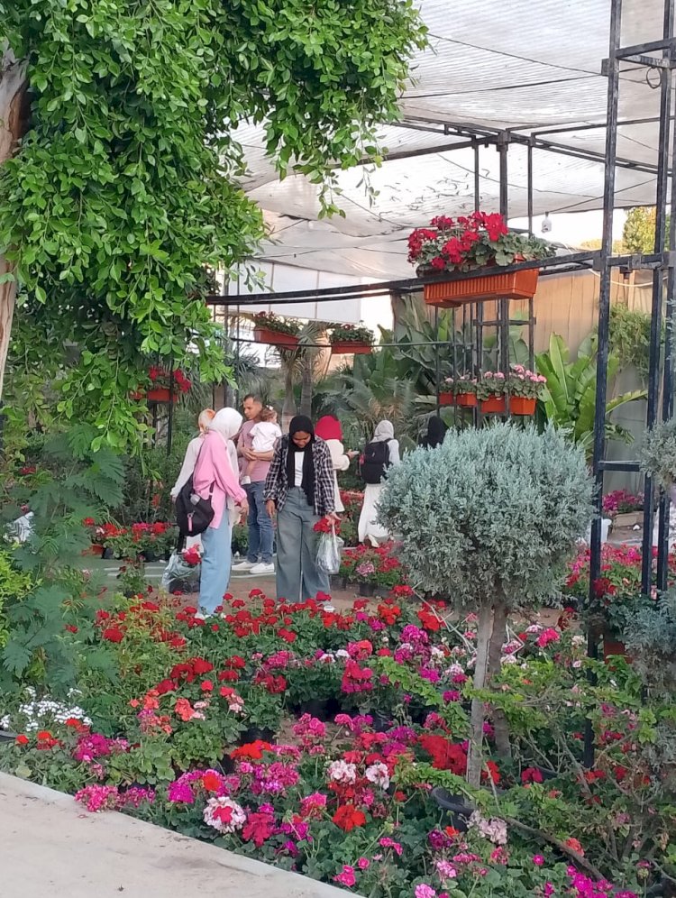 مد معرض "زهور الربيع" حتى نهاية مايو