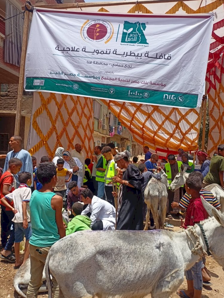 قافلةالتناسليات الحيوانية قدمت خدماتها لأكثر من 1200  رأس ماشية بقنا