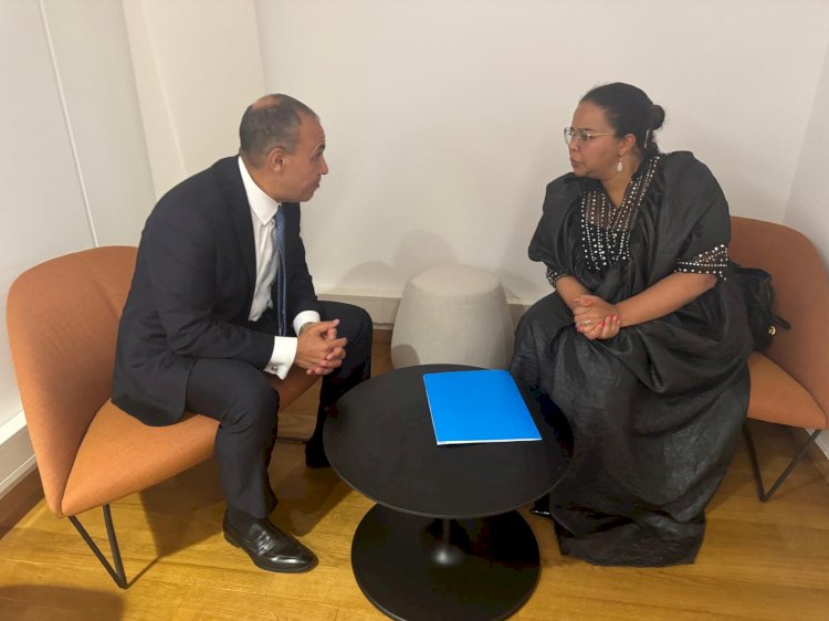 عبدالعاطي يلتقى وزيرة الخارجية بجمهورية الكونغو الديمقراطية