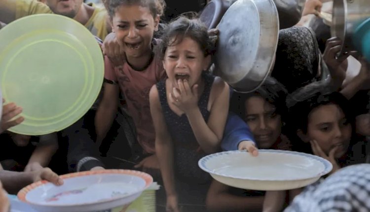 الأغذية العالمي: لا أدلة على مزاعم إسرائيل بحصول حماس على المساعدات