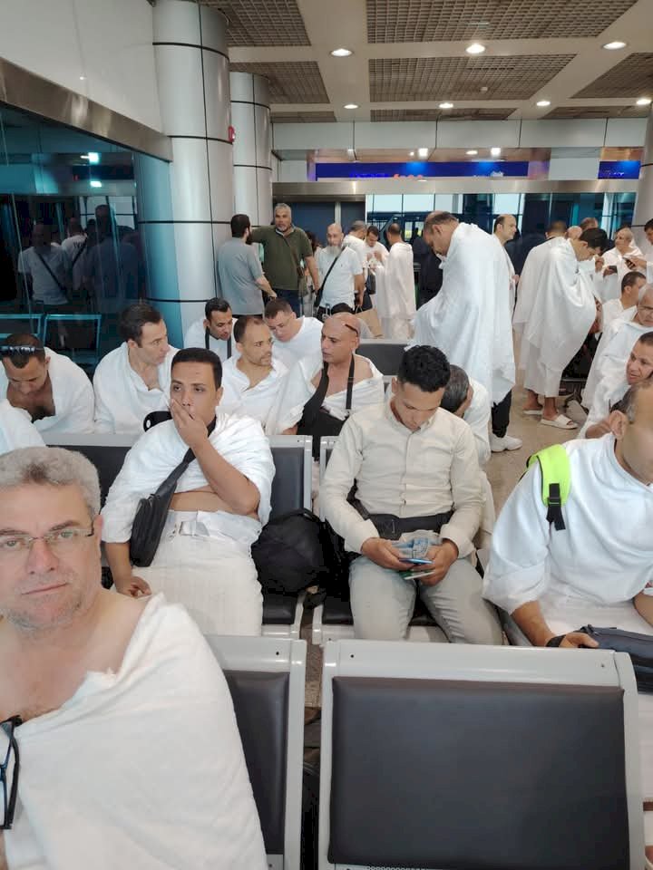 الزراعة انطلاق أولى أفواج بعثة الأطباء البيطريين للإشراف على الهدي والأضاحي