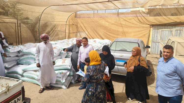 بحوث الصحراء و الفاو يوزعان 50 طنًا من الأعلاف لدعم الثروة الحيوانية بسيناء