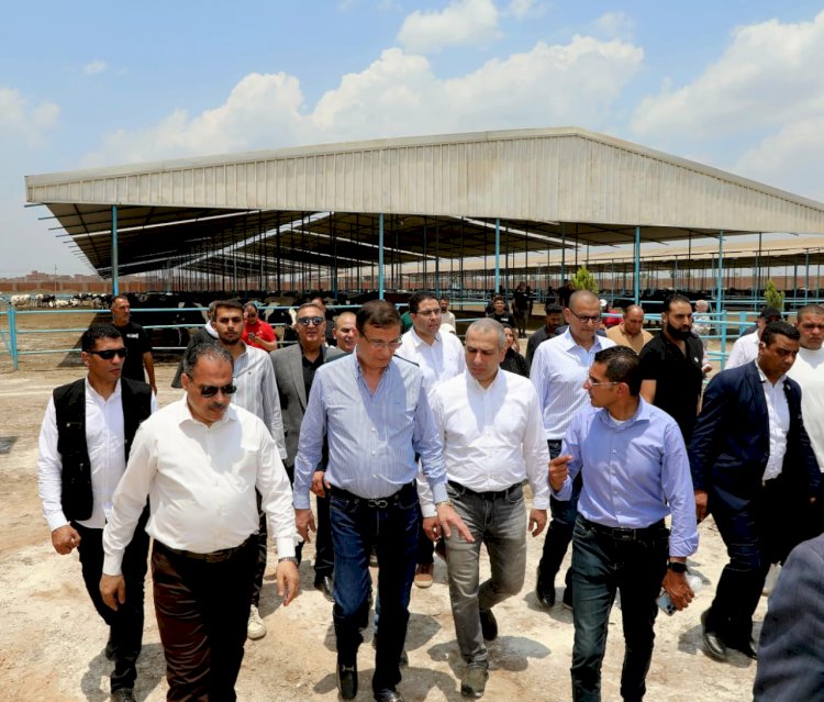 البنك الزراعي المصري يمول شراء 2000 رأس ماشية بقيمة 395 مليون جنيه لصالح 188 من صغار المربين بالشرقية