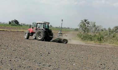 منبر