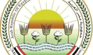 منبر