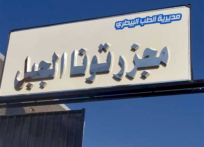 استعدادا للعيد.. تعقيم المجازر ورش وتجريع الماشية في المنيا