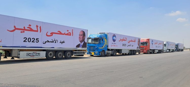 «مستقبل وطن» يطلق «أضحى الخير» بمحافظة الجيزة