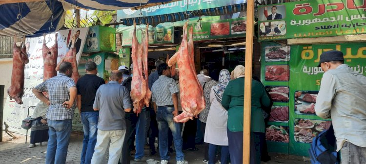 اقبال كبير من المواطنين على منافذ وزارة الزراعة لشراء لحوم عيد الأضحى