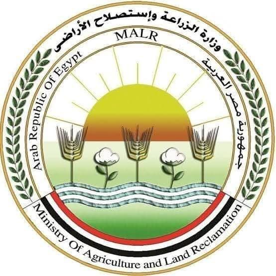 لا يوجد عجز في خامات الأعلاف المستوردة والمحلية