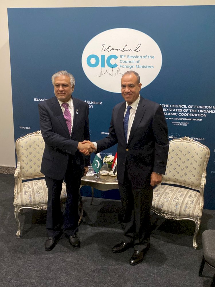 وزير الخارجية ونظيره الباكستاني يؤكدان ضرورة وقف الحرب بين إيران وإسرائيل