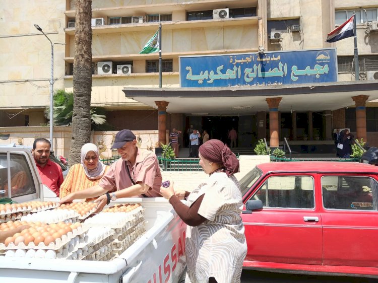 الإصلاح الزراعي يطلق منافذ متنقلة لطرح البيض البلدي والأسماك للمواطنين