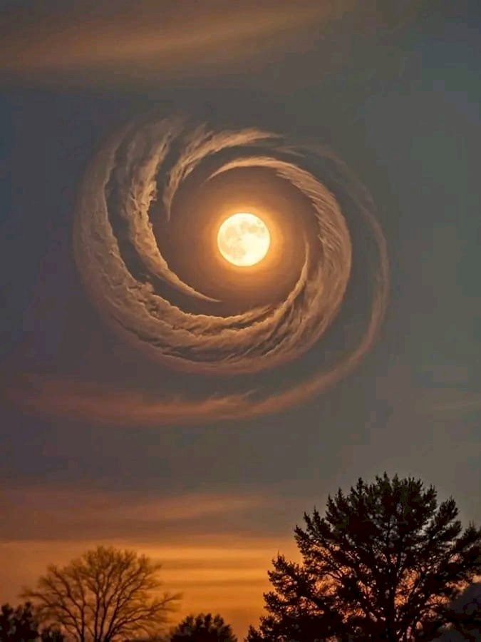 اكسبلور...بقلم إيمان  العطيفى