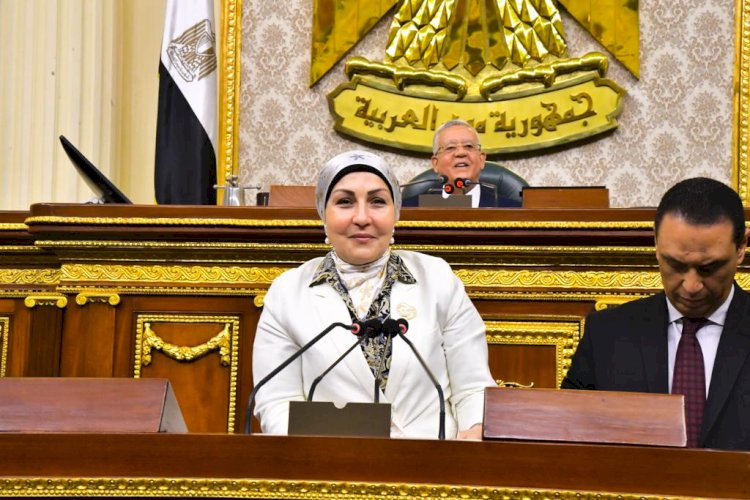 هالة أبو السعد رئيسًا للاتحاد المصري لتمويل المشروعات المتوسطة والصغيرة ومتناهية الصغر