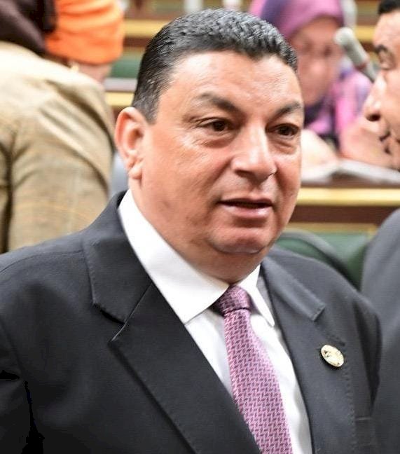 سامي نصر الله: انتخابات مجلس الشيوخ خطوة جديدة نحو ترسيخ الديمقراطية