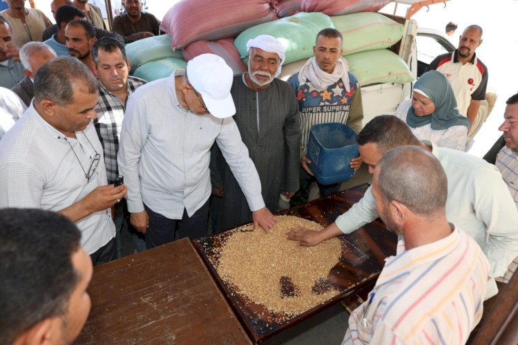 محافظ المنيا: توريد 515 ألف طن قمح هذا الموسم بزيادة 180 ألف طن عن العام الماضي