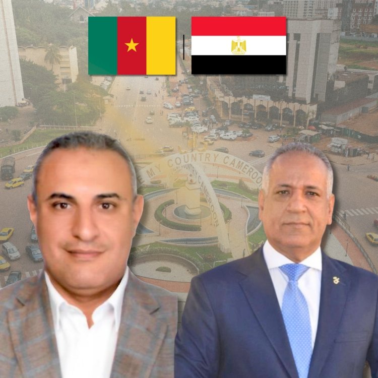 رجال الاعمال المصريين اول مصنع متكامل لتصنيع الأخشاب والأبواب بالكاميرون