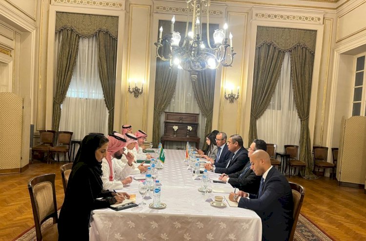 مصر والسعودية تؤكدان أهمية ضمان أمن وسلامة الملاحة البحرية في البحر الأحمر
