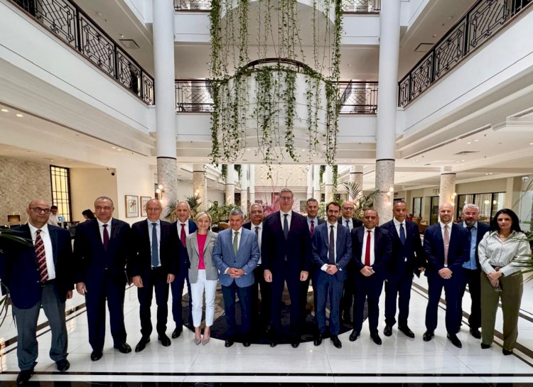 بدوي يبحث مع نظيره القبرصي تنمية حقل كرونوس القبرصي