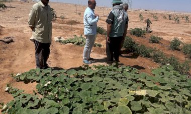 منبر