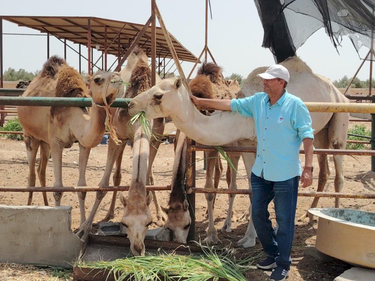 بحوث الصحراء: نجاح تجارب التغلب على التحديات المتعلقة بنقص الأعلاف بجنوب سيناء