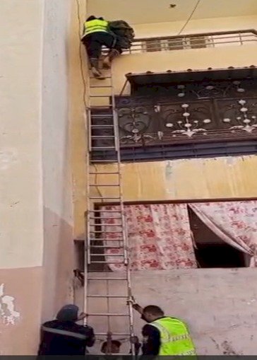 شرطة النجدة تنقذ "قطة" من الموت بالسويس