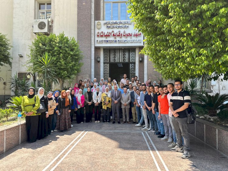 "وقاية النباتات" ينظم برنامجا تدريبيا لتنمية مهارات بعض العاملين بالحجر الزراعي