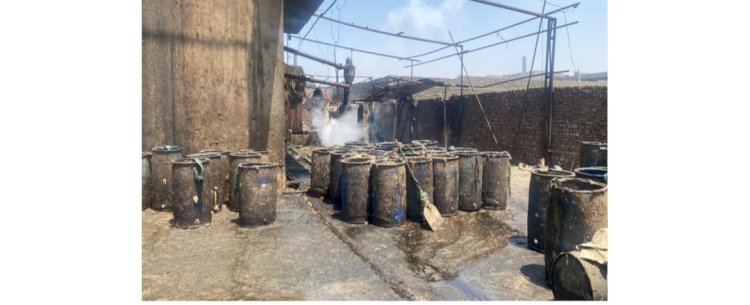 ضبط مصنع "بدون ترخيص"لإنتاج الأعلاف الحيوانية المغشوشة بالقليوبية