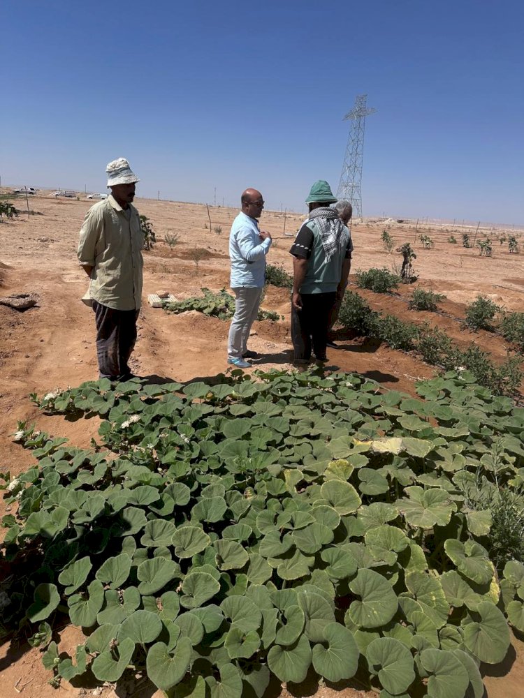 بالصور "بحوث الصحراء" يواصل  تقديم الدعم الفني والإرشادي لمزارعي  سيناء
