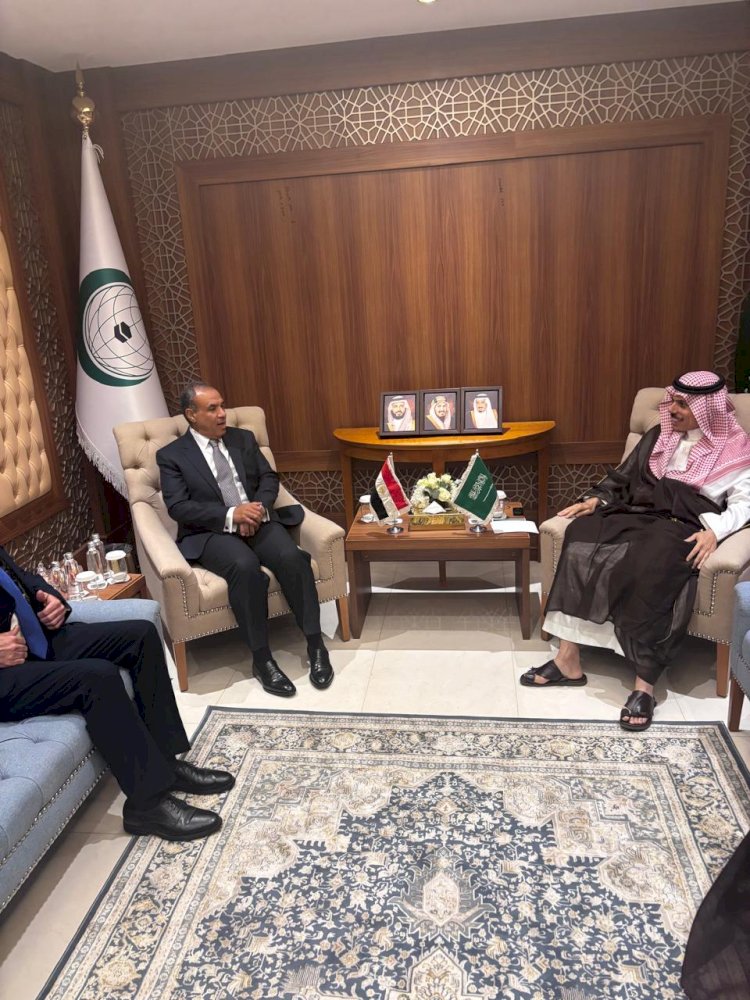 لقاء بين وزيري خارجية مصر والسعودية على هامش اجتماع منظمة التعاون الإسلامي بجدة