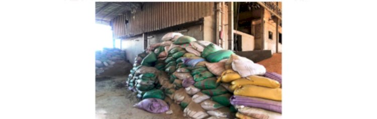 ضبط مصنع ومخزنين  للأعلاف الحيوانية والأسمدة والمبيدات بدون ترخيص بكفر الشيخ