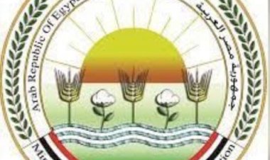 منبر