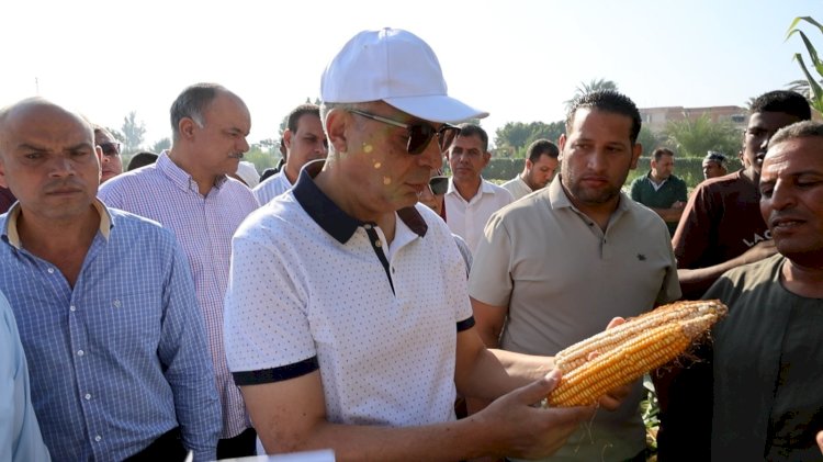 محافظ المنيا يشارك مزارعي قرية الشعراوية بسمالوط حصاد المحاصيل الصيفية