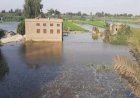 منبر