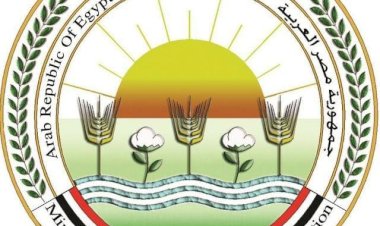 منبر