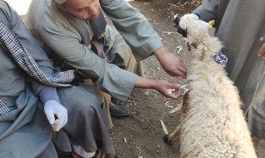 منبر