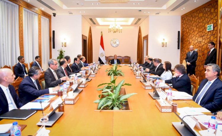وزير الخارجية يترأس اجتماع مجلس إدارة الوكالة المصرية للشراكة من أجل التنمية