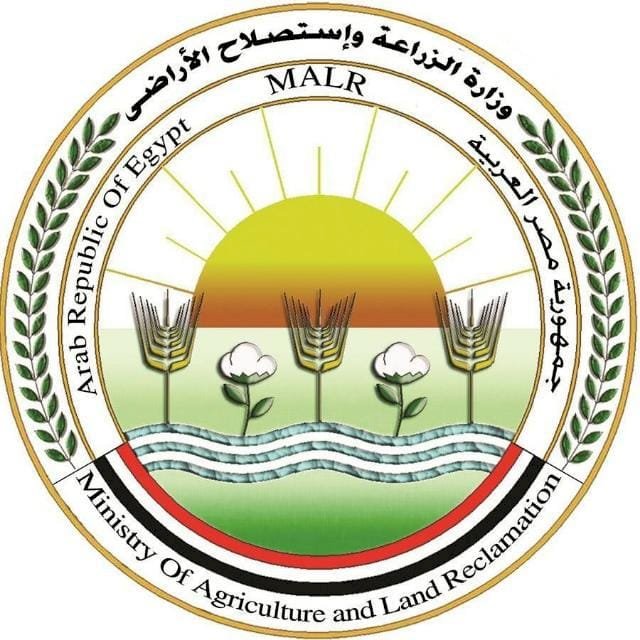 اعرف  الخريطة الصنفية لمحصول القمح في الموسم الجديد
