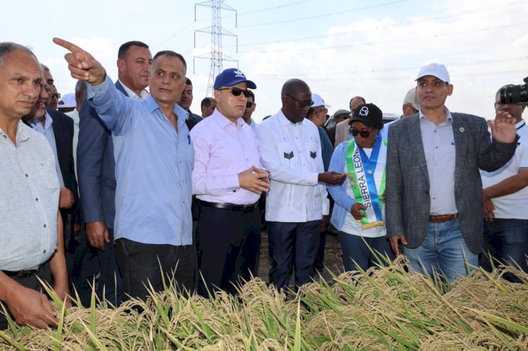 محافظ كفرالشيخ ووزراء ونواب وزراء الزراعة الأفارقة يتفقدون المزرعة البحثية للأرز