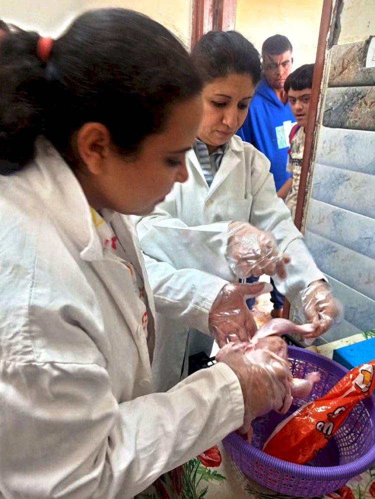 محافظ سوهاج حملات مكثفة للطب البيطري لضمان سلامة اللحوم وصحة المواطنين