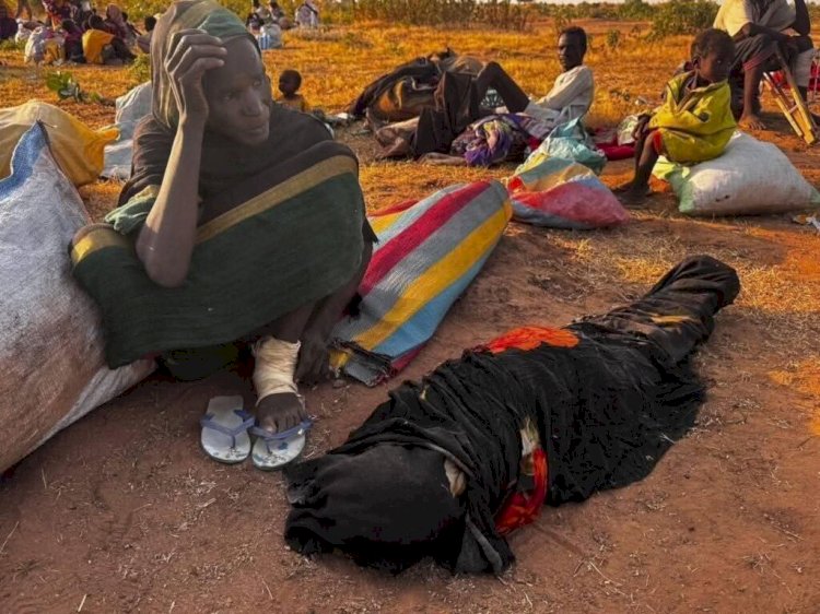 الأمم المتحدة تطالب بتوفير ممر إنساني في الفاشر السودانية