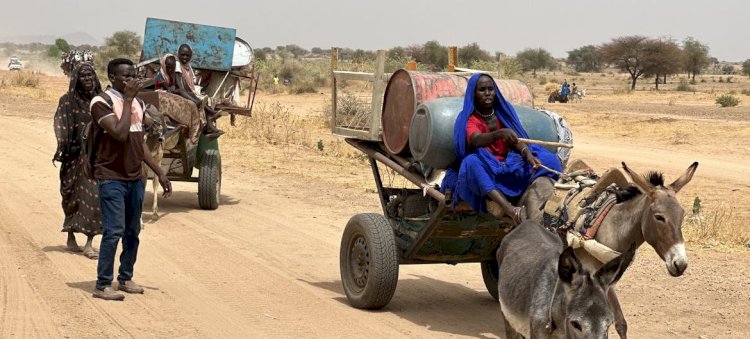 شبكة أطباء السودان: الدعم السريع قتلت 38 مواطنًا في منطقة واحدة