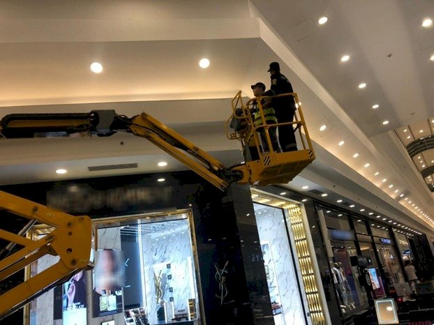 الاجهزة الامنية تنقذ" قطة" من الموت بالاسكندرية