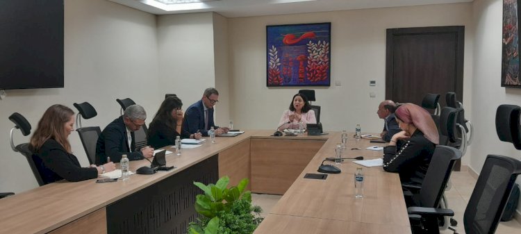 نائبة وزيرة التضامن تلتقي رئيس التعاون الإنمائي الألماني بسفارة ألمانيا